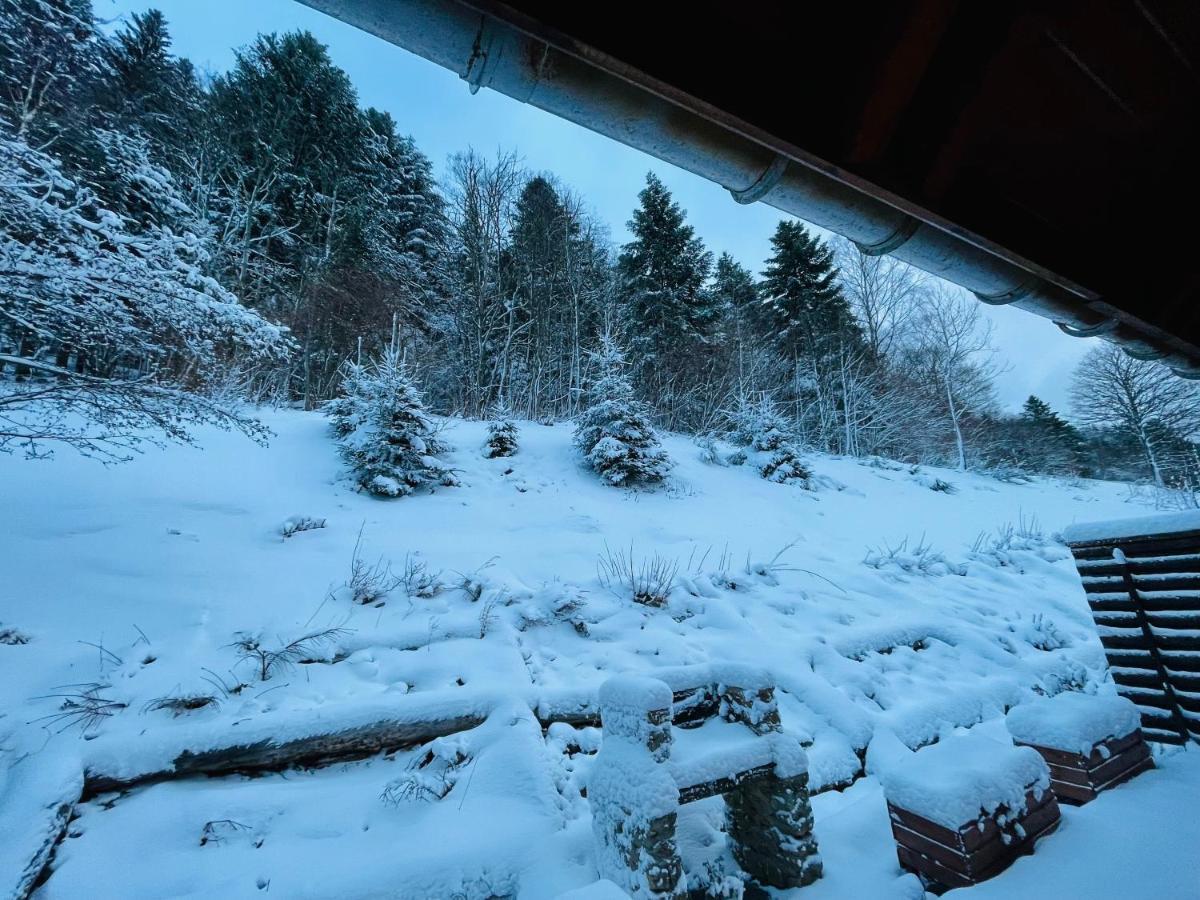 Chalet Des Feignes La Bresse Esterno foto